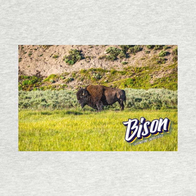 Bison at Yellowstone by Gestalt Imagery